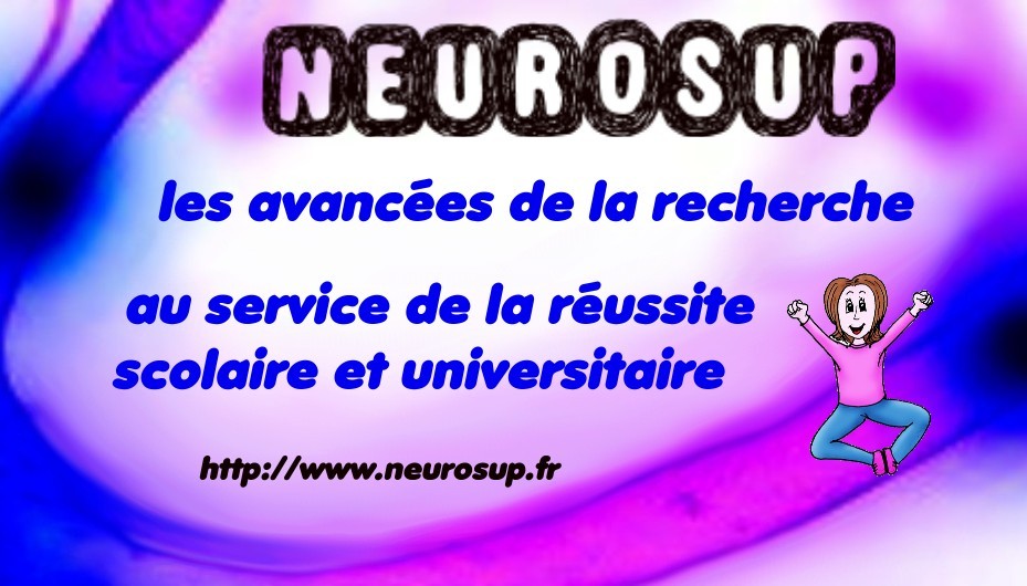 L'IUT expérimente le programme Neurosup